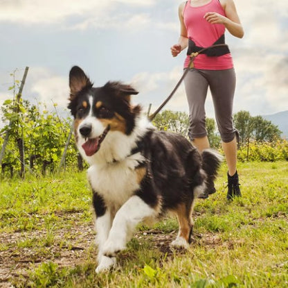 TailTrail™ Hands-Free Dog Leash | Waist Belt + Storage Pouch
